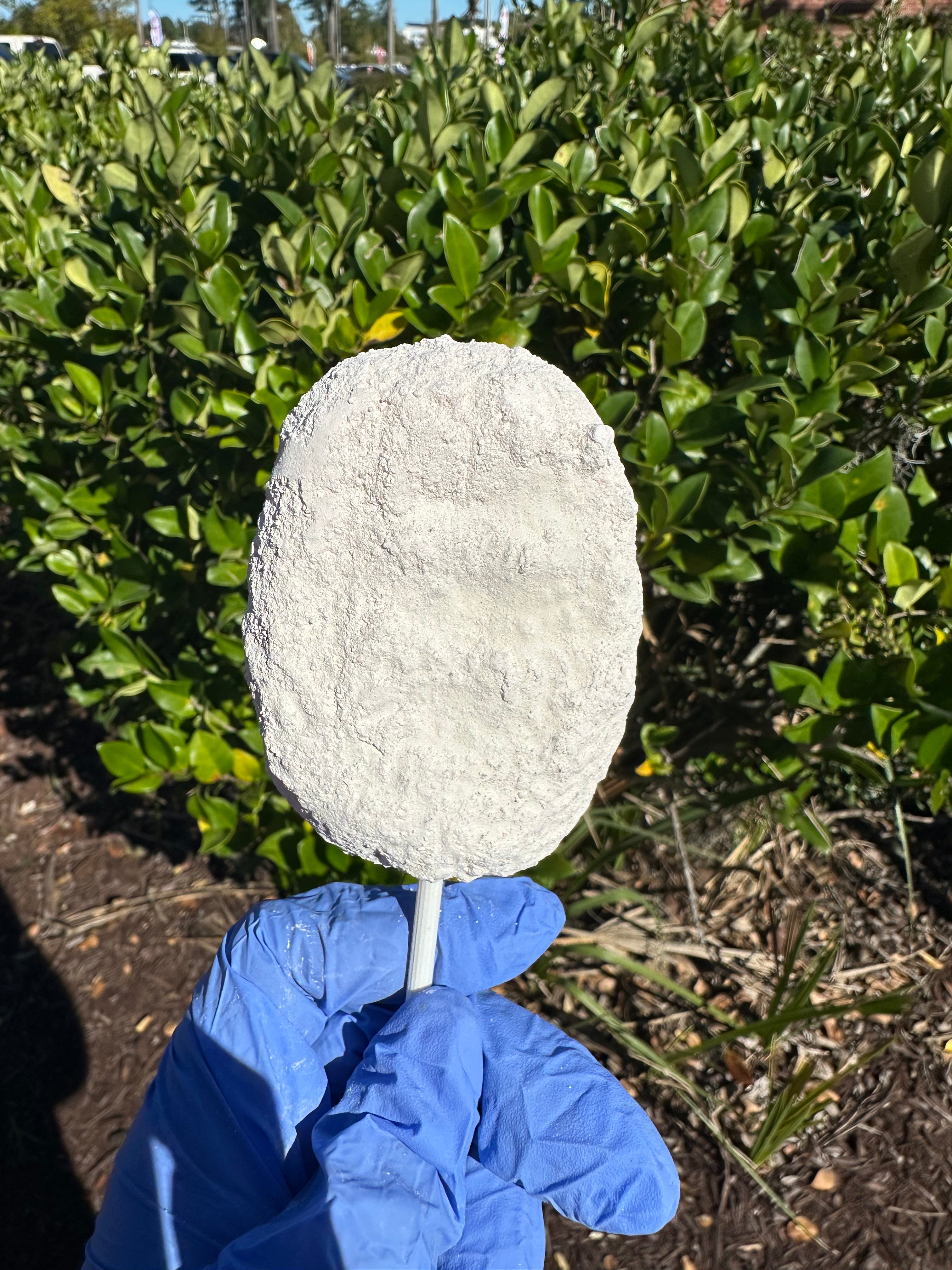 Magnum cookies and cream